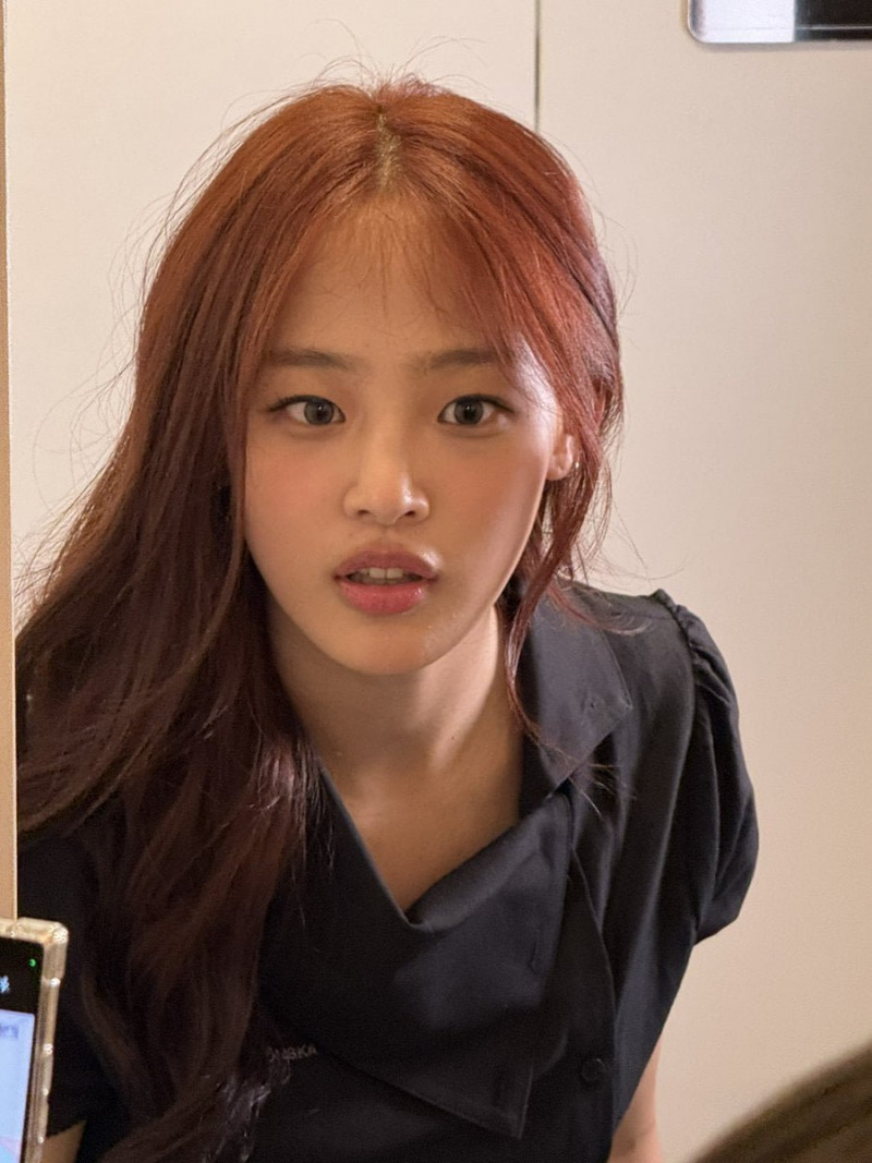 다리다리게임통계