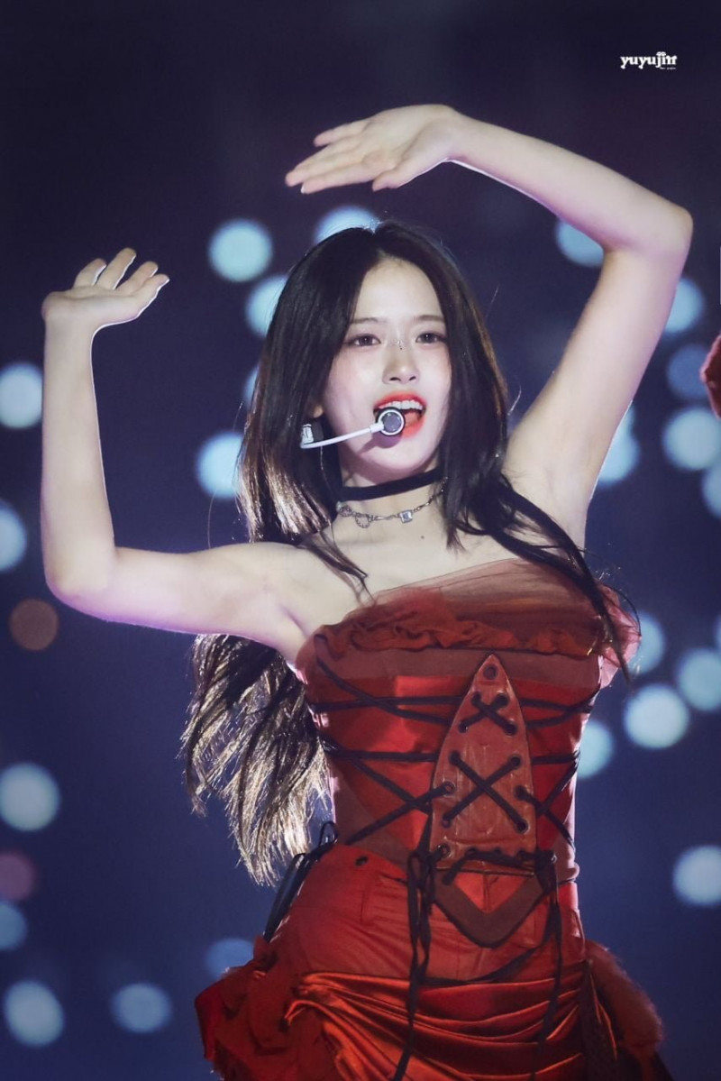 실시간다리다리