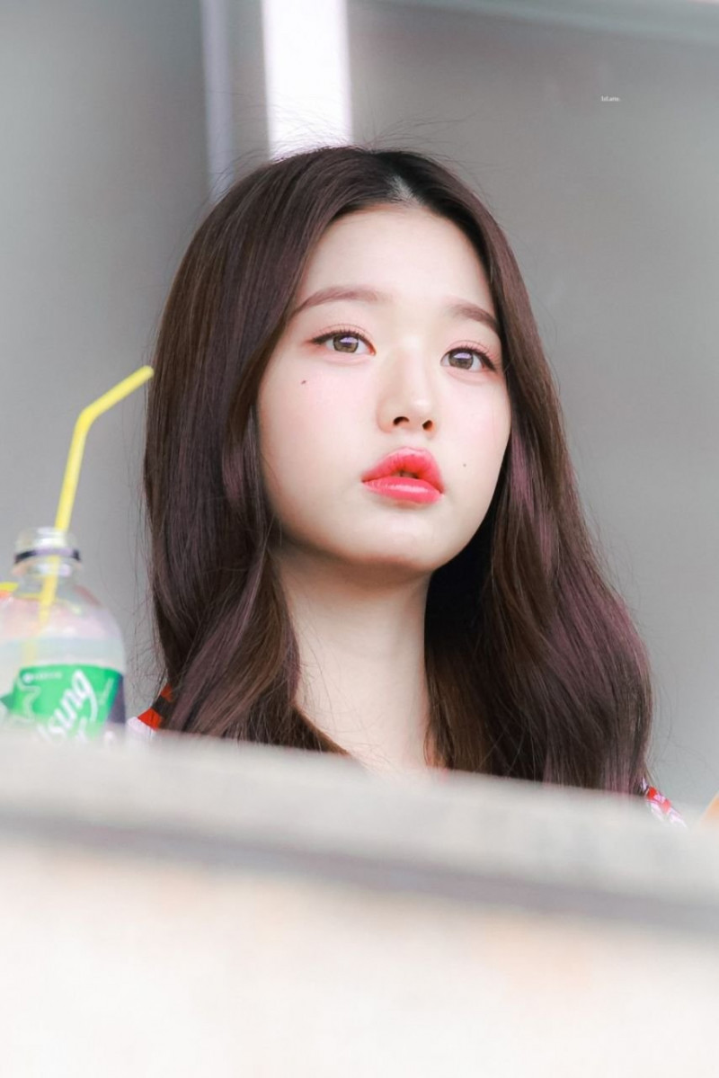 달팽이게임통계