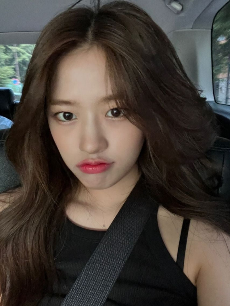 나눔로또 파워볼분석기