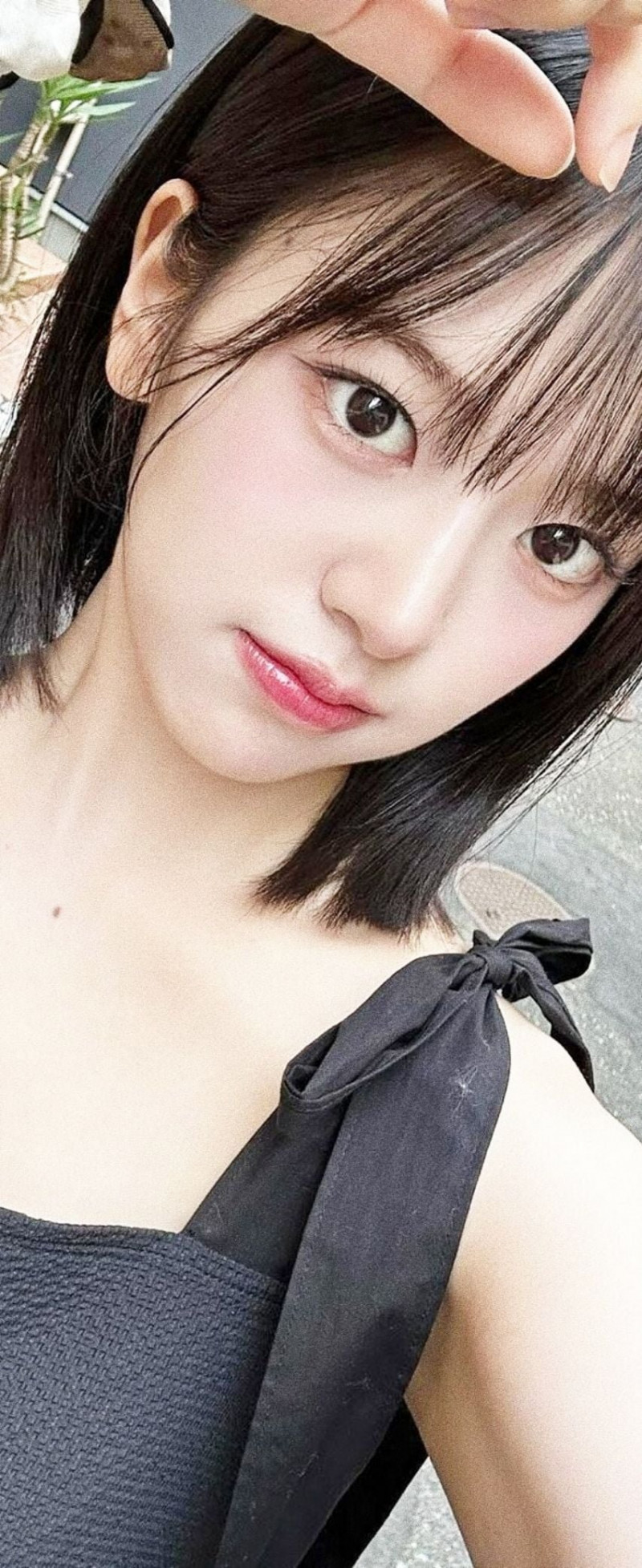 파워볼 분석과 실시간패턴통계