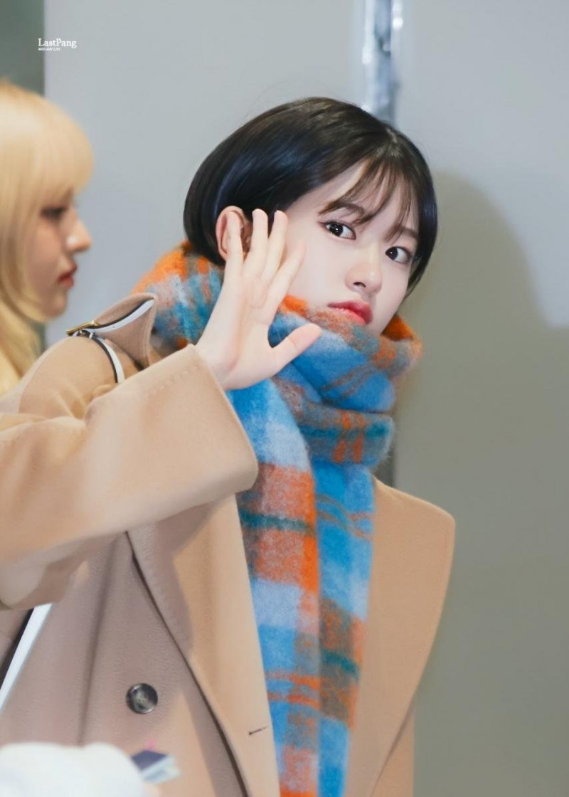 나눔로또 파워볼분석기