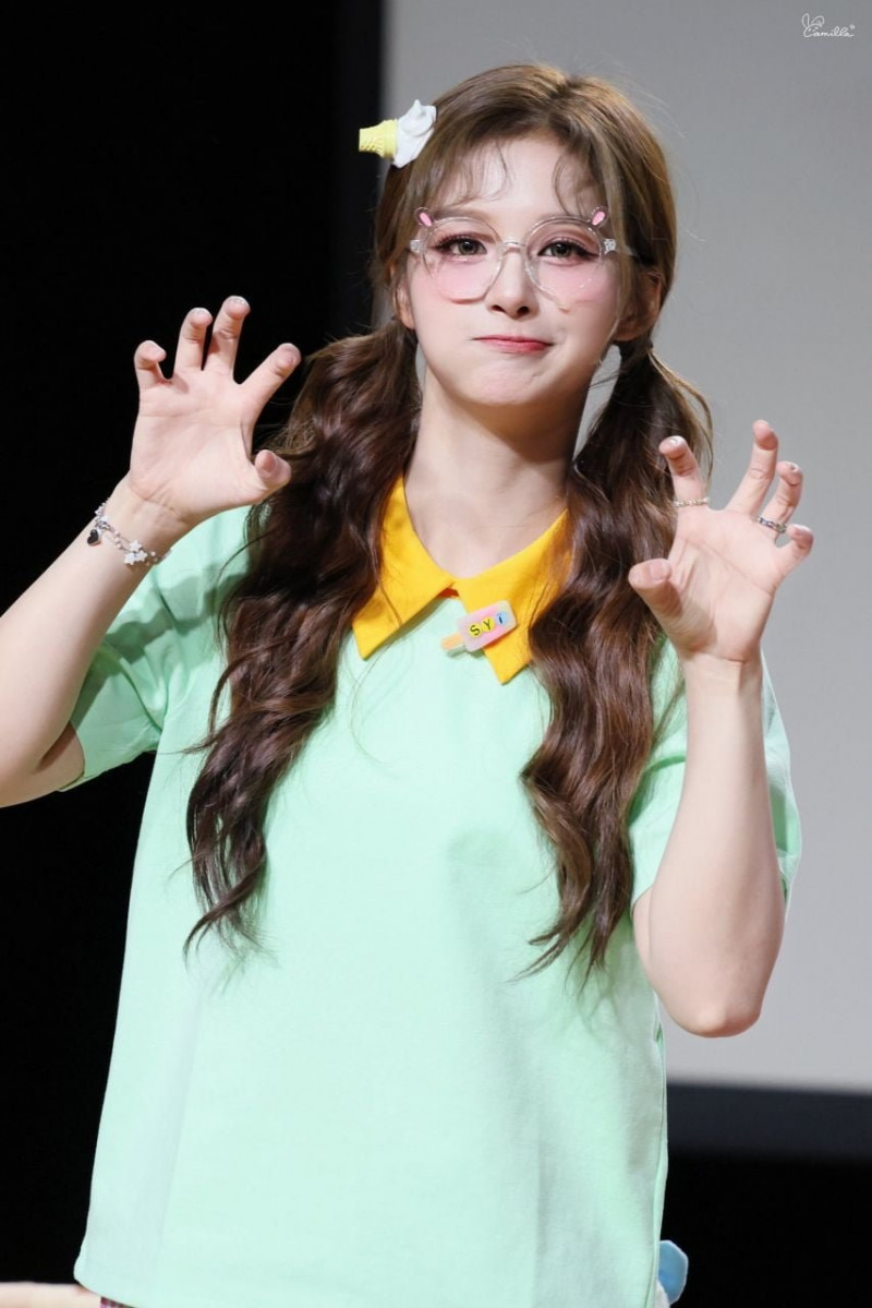다리다리 분석과 실시간패턴통계