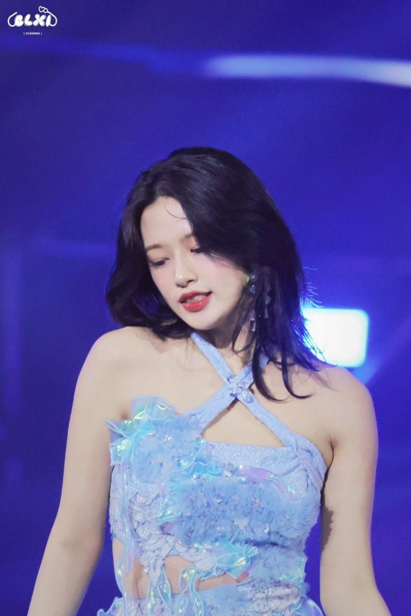 다리다리필승