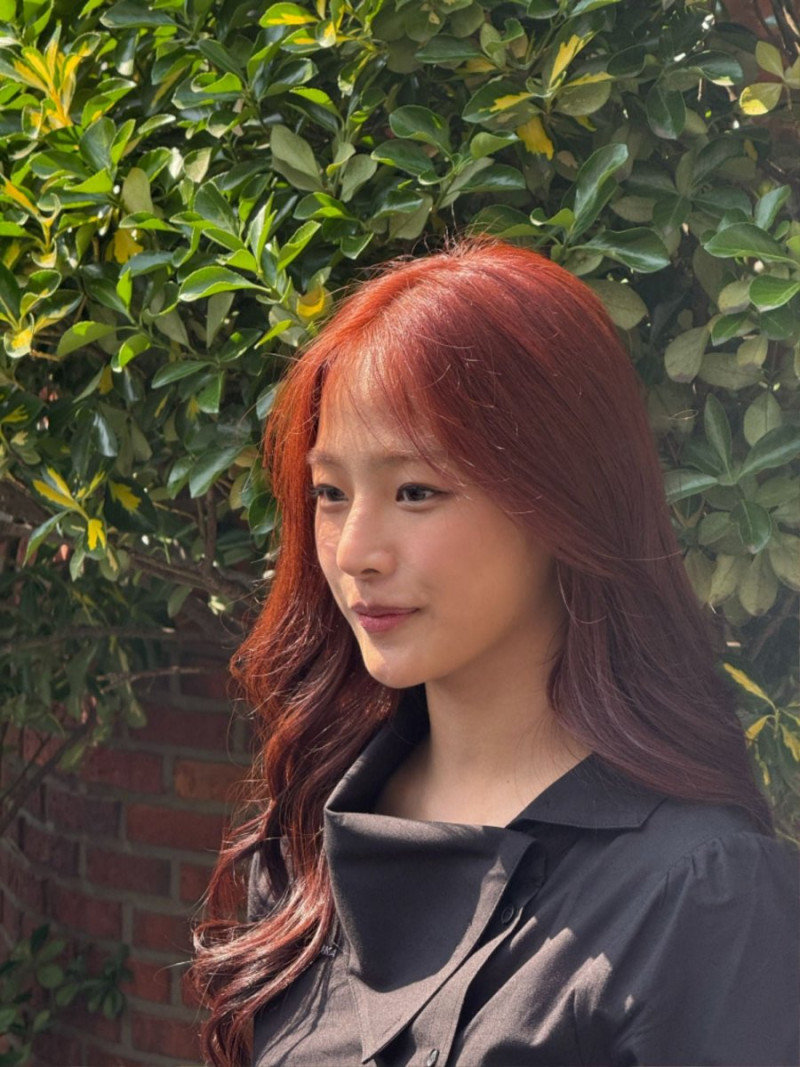 파워볼게임분석기